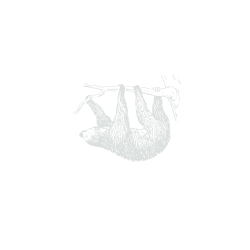 Sloth (2)